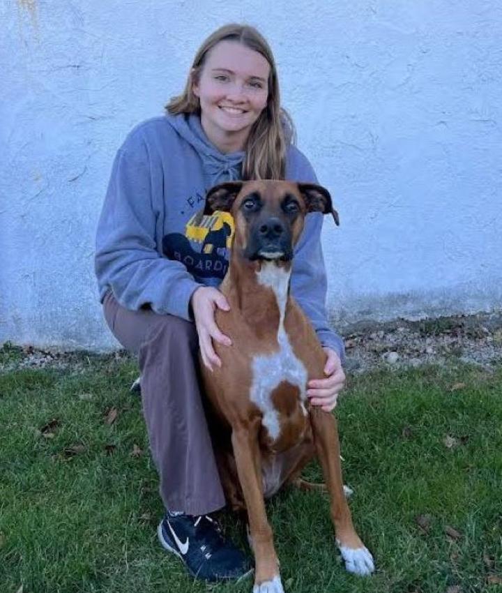 Waukesha Kennel, Grooming & Daycare